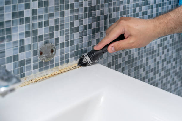 Best White Mold Remediation in Ofallon, MO
